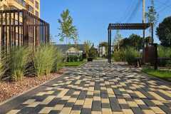IMG-20240809-WA0051